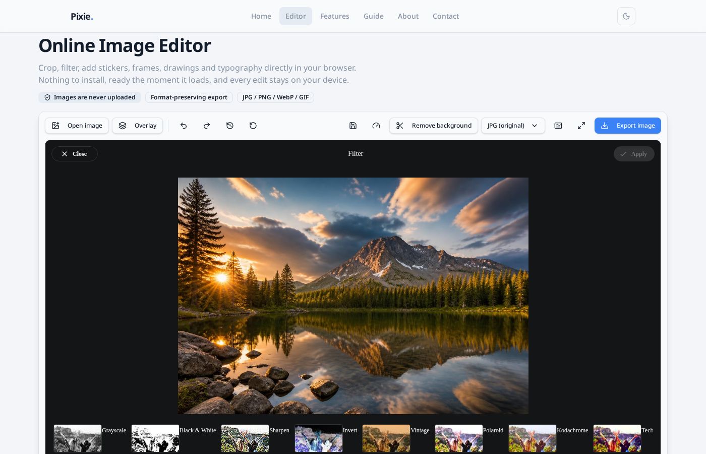 Filter panel showing live thumbnails such as Grayscale, Vintage and Polaroid